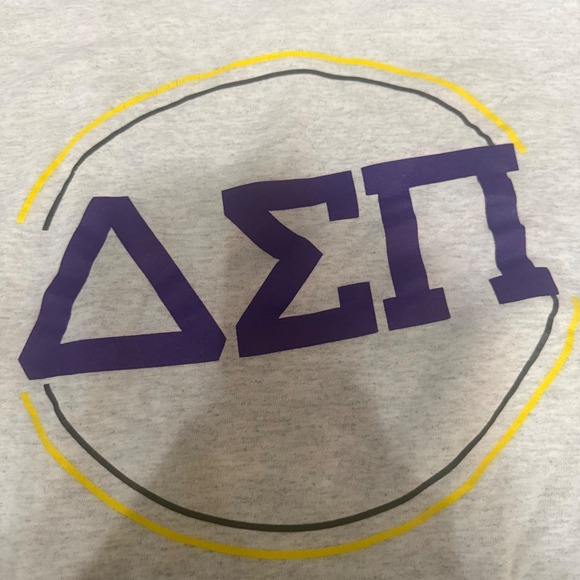 Vintage Hanes Delta Sigma Pi Sweatshirt Gray Ultimate Cotton Greek Lettering L - Picture 5 of 7